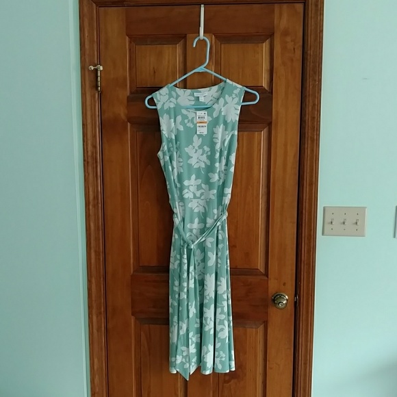 Dress - Picture 6 of 7